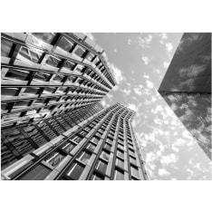 Artgeist Reach For The Sky fototapetti