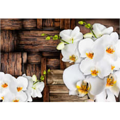 Artgeist Blooming Orchids fototapetti