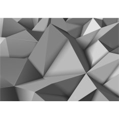 Artgeist Graphite Fantasy fototapetti