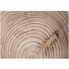 Artgeist Wood Grain fototapetti