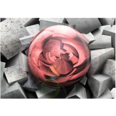 Artgeist Stone Rose fototapetti
