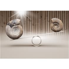 Artgeist Fun With Fossils fototapetti