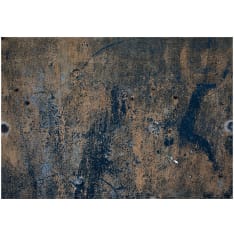 Artgeist Prehistoric Dance fototapetti