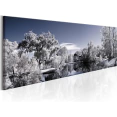 Artgeist Wintry Lake taulu