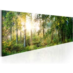 Canvas Print - Forest Shelter