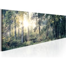 Artgeist Morning Magic taulu