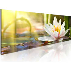 Artgeist Lotus' Glow taulu