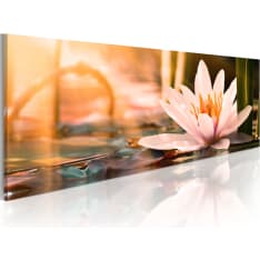 Artgeist Beautiful Lotus taulu