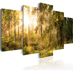 Artgeist Magic Of Forest taulusetti