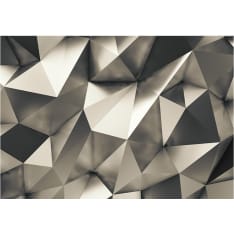 Artgeist Cosmic Silver fototapetti