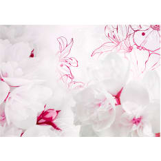 Artgeist Enveloped In White fototapetti