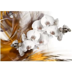 Wallpaper - Orchid on fire