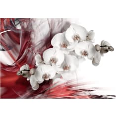 Artgeist Orchid In Red fototapetti