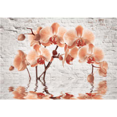 Artgeist The Orange Arc fototapetti