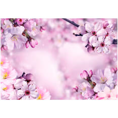 Artgeist Say Hello To Spring fototapetti