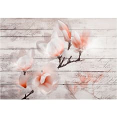 Artgeist Subtlety Of The Magnolia fototapetti