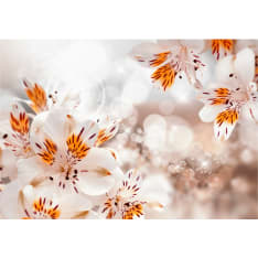 Artgeist Lily Of The Incas fototapetti