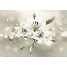 Artgeist Lily - Flower Of Masters fototapetti