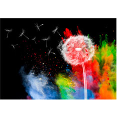Artgeist Colourful Element fototapetti