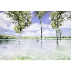 Artgeist Spring Scenery fototapetti