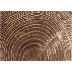 Artgeist Raw Tree fototapetti