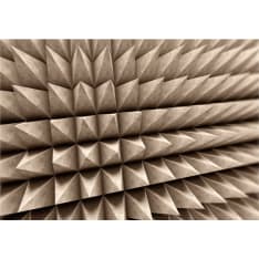 Artgeist Dangerous Game fototapetti