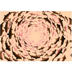 Artgeist Shoal... fototapetti