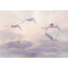 Artgeist Flying Swans fototapetti