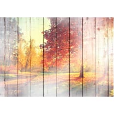 Artgeist Autumn Sun fototapetti