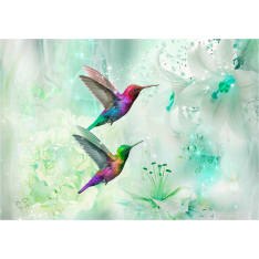 Artgeist Colourful Hummingbirds (Green) fototapetti