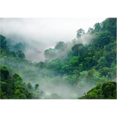 Artgeist Morning Fog fototapetti
