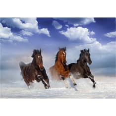 Artgeist Horses in the Snow fototapetti