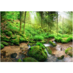 Artgeist Humid Forest fototapetti