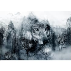 Artgeist Mountain Predator (Black and White) fototapetti