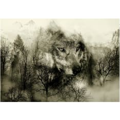 Artgeist Mountain Predator (Beige) fototapetti