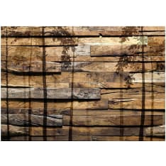 Artgeist Shadow of Trees fototapetti