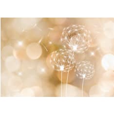 Artgeist Touch of Summer fototapetti