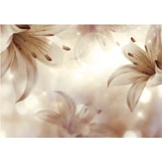 Artgeist Gentle Symphony fototapetti