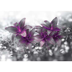 Artgeist Secret of the Lily fototapetti
