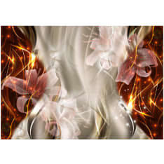 Artgeist Golden Comet fototapetti