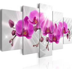 Artgeist Abstract Garden: Pink Orchids taulusetti
