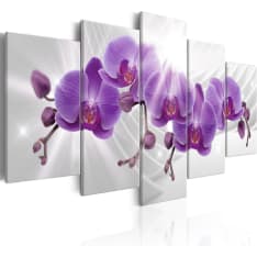 Artgeist Abstract Garden: Purple Orchis taulusetti