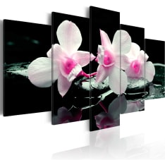 Artgeist Rest Of Orchids taulusetti
