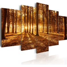 Canvas Print - Amber forest
