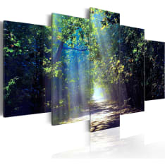 Artgeist Sunny Forest Path taulusetti