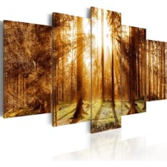 Artgeist Forest Illumination taulusetti