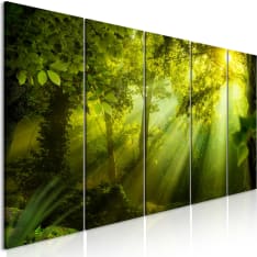 Canvas Print - In the Sunshine (5 Parts) Narrow