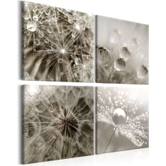 Artgeist Grey Dandelion taulusetti