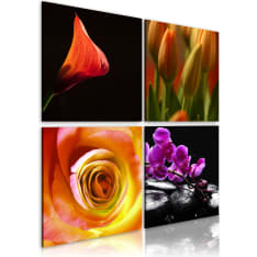 Artgeist Kauneuden Olemusta taulusetti