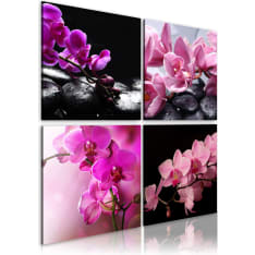 Artgeist Orkideat Kauniimpi Kuin Koskaan taulusetti